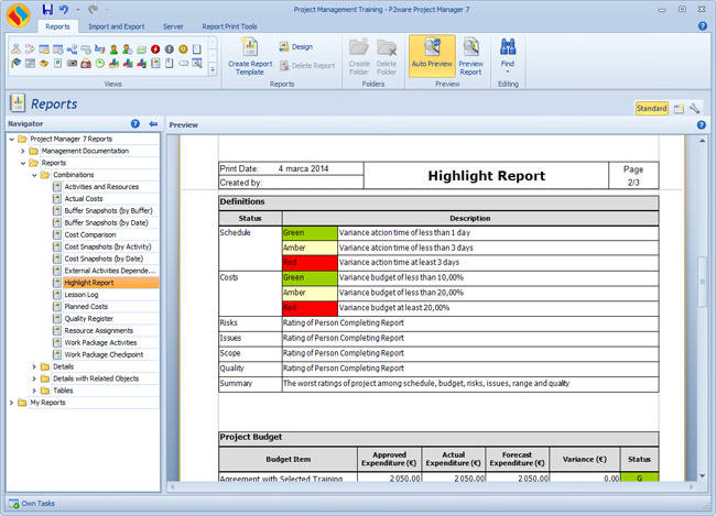 Report templates fulfilling needs of different stakeholders